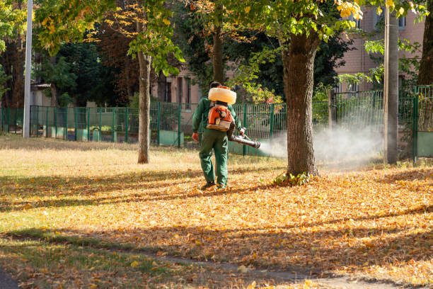 Best Termite Control Services  in New Hope, MS